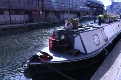 DSC_1719 (Large).JPG